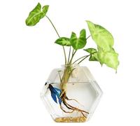 Plantador de pared Propagación de planta hexagonal hidropónica Planta colgante de pared Terrario Terrario Transparente Estación de propagación de planta de vidrio para el Ministerio del Interior