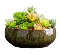 Plantador de tazón - maceta hidropónica decorativa de cerámica, plantación espaciosa a prueba de fugas | Contenedor de jardinería elegante para exteriores duradero para al aire libre para suculentas B