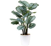 Plantas artificiales de 63 cm Calatheas Orbifolia Goeppertia Orbifolia Plantas tropicales de imitación verde en maceta para decoración de hogar jardín oficina