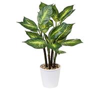 Plantas artificiales de 63 cm Dieffenbachia Camille Plantas Tropicales de Imitación en maceta para decoración del hogar, jardín, oficina