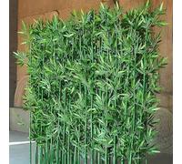 Plantas artificiales de bambú para interiores y exteriores, valla divisora de pared de privacidad, pantalla de decoración de bricolaje, vegetación de patio, 78.7 pulgadas de alto, 100 tallos
