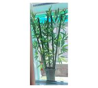 Plantas artificiales de bambú para protección de privacidad al aire libre, árboles altos de bambú sintético para decoración de terraza y guardería, valla de bambú de imitación para uso en interiores y