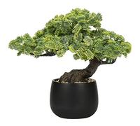 Plantas Artificiales de enebro de árbol bonsái, Plantas Falsas para decoración de Interiores con macetas de cerámica Negra para el hogar, Mesa, Oficina, Escritorio, baño, Estante, Dormitorio, Sala de
