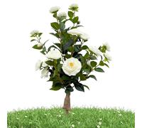 Plantas Artificiales de Interior - con estacas para Suelo Flor de Camelia Realista | Plantas para Porche Delantero y Árbol Artificial,para Interiores, Exteriores, jardín, Patio, paisajismo, Oficina,