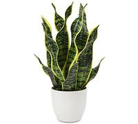 Plantas Artificiales de Serpiente de 42 cm, Plantas Artificiales de Sansevieria para Interiores en macetas, Plantas de Interior de imitación para decoración del hogar