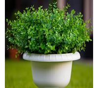 Plantas artificiales para exteriores, arbustos de boj falsos - 16 paquetes de tallos artificiales resistentes a los rayos UV, no se decoloran, flores de plástico sintético para jarrones, granja,