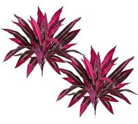 Plantas artificiales realistas de helecho de Boston y sangre de dragón, helechos artificiales resistentes a los rayos UV con hojas vibrantes de color rosa púrpura para exteriores, jardín, patio, boda