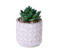 Plantas Artificiales suculentas en macetas, Plantas Artificiales de imitación en macetas de Cemento Gris, Plantas de Cactus suculentas Falsas, Decorativas, para Interiores, (Hoja Verde)
