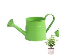 Plantas de agua para interiores, 1 l de hierro con mango estético - Space-Saving Garden Watering Can - for Greenhouse Farmhouse Outdoor Yard Lawn Patio Landscape Flower Bonsai