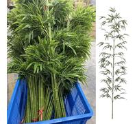 Plantas de bambú falsas de 150 cm, paquete de 100 árboles de imitación para exteriores, para jardín, balcón, patio y porche, tallos extraíbles, perfectos para mejorar el patio y la terraza