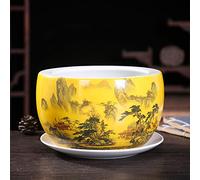 Plantas de cerámica pintadas a Mano Maceta Estilo Chino Uso en jardín Interior y Exterior con Bandeja de Goteo Jarrón Maceta clásica China Especialidad (G 28 * 17 CM)