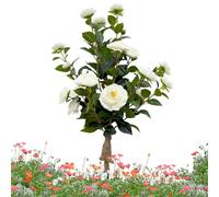 Plantas de exterior artificiales,Camelia con estacas de suelo para decoración primaveral | plantas para porche delantero árbol artificial | Para hogar oficina casa rural jardín patio terraza porche se
