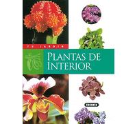 Plantas de interior (Tu Jardín)
