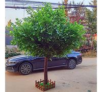 Plantas de simulación Premio denso Artificial Verde árboles de árboles de Interior decoración de Interiores Hotel Sala de Estar de la Boda Hotel Comercial decoración del Centro Comercial