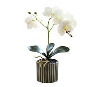 Plantas Falsas Flora Artificial Decorativa 12.6 Pulgadas De Alto Planta De Orquídea Artificial Realista En Una Maceta Bonsái Decorativo De Tacto Real Flores Falsas Flores Artificiales En Florero