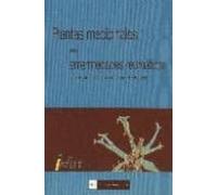 Plantas Medicinales Para Enfermedades Reumaticas