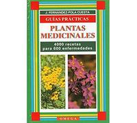 PLANTAS MEDICINALES. UN RECETARIO BASICO (GUIAS DEL NATURALISTA-PLANTAS MEDICINALES, HIERBAS Y HERBORISTERÍA)