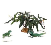 Plantas para Terrario De Reptil - Vegetación Artificial Realista,Decoración Verde para Acuarios | para Agua Dulce Desierto Peces Tortuga Betta Gecko Leopardo Camaleón Rana Anfibio Ermitaño