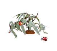 Plantas para Terrario de Reptiles - Decoración Botánica Falsa Realista | Hojas Artificiales para Terrario | para Agua Dulce Desierto Peces Tortuga Betta Gecko Leopardo Camaleón Rana Anfibio Ermitaño