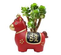 Plantas pequeñas de casa, maceta compacta con figura de caballo | Plantas suculentas en maceta, para familia, hombres y mujeres, Año Nuevo, inauguración de la casa, oficina, escritorio, lavandería