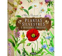 Plantas Silvestres e infusiones curativas (Atlas Ilustrado)