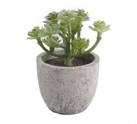 Plantas suculentas artificiales abigarradas de múltiples cabezas, plantas falsas en maceta para interiores, vegetación de plástico en miniatura para escritorio, oficina, decoración del hogar, bajo