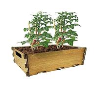 PLANTAWA Kit de Siembra para Tomates, Kit de Cultivo para Huerto Urbano, Jardinera Interior para Casa, Kit Cultivo de Plantas Naturales Tomates Frescos