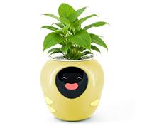 Plantbot Mejorado Maceta Inteligente Grande Robot Mascota Plantador con Inteligencia Artificial, Pantalla de Tiempo y Temperatura, y Numerosas Animaciones Expresivas, para Decoración Interior, Regalos