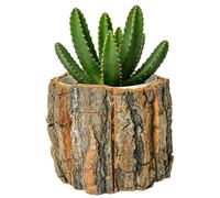 Planter Pot Rustic, Tree Stump Bark, Waterproof Decorative Container with Natural Look, Home Decor for Indoor Style, Lifestyle Essentials, Planter Pot Rustic for Living Room Bedroom Office Farmhouse