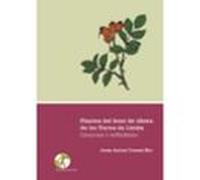 Plantes Del Bosc De Ribera De Les Terres De Lleida