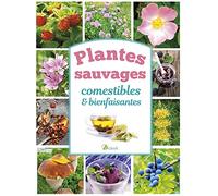 Plantes sauvages comestibles et bienfaisantes