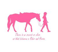 Plantilla de cita "No hay secreto tan cerca de la chica y el caballo" Pegatinas de pared 32x49.4cm Decoración de carrocerías Rosa