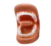 Plantilla de - Suave Portátil, Modelado de Dientes Falsos Portátiles Suave para Aprendizaje Práctico, Modelo Falso para Adultos y Clase