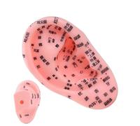 Plantilla de zona de reflejo 'oído | Modelo de zona de oído para aprender masajes, objetos de lección de clase escolar principiantes de profesionales que enseñan sus