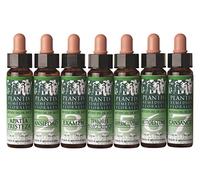 PLANTIS 33 NOGAL 10ML