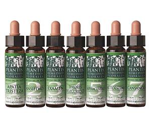 PLANTIS 33 NOGAL 10ML