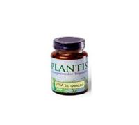 Plantis Cola Caballo Maese Her 50comp