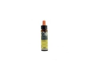 Plantis Elixir Flora Nº20 Mimulo 10 ml