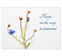 Plants on the way to tomorrow (Wall Calendar 2026 DIN A3 landscape), CALVENDO 12 Month Wall Calendar: Flowers on the way to morning