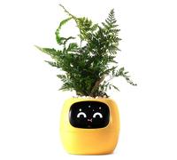 PLANTSIO AI Robot Inteligente para Plantar Mascotas con guía para el Cuidado de Plantas y Emojis Adorable compañero Vegetal con una Rica interacción gestual (Amarillo)
