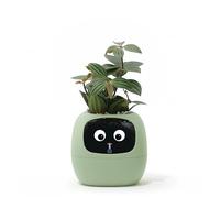 PLANTSIO Ivy - Maceta inteligente para decoración del hogar, plantas, compañero, configuración de escritorio, regalo para el hogar, macetero para mascotas, robot orientación sobre el cuidado de las