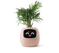 PLANTSIO Ivy - Maceta inteligente para decoración del hogar, plantas, compañero, configuración de escritorio, regalo para el hogar, macetero para mascotas, robot orientación sobre el cuidado de las
