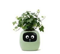 PLANTSIO Ivy - Maceta inteligente para decoración del hogar, plantas, compañero, configuración ordenada de escritorio, regalo, maceta inteligente para mascotas, orientación robótica sobre el cuidado