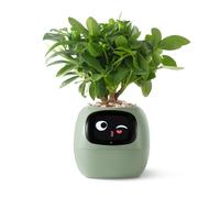 PLANTSIO Maceta inteligente para mascotas orientación sobre el cuidado de las plantas con emojis, adorable compañero de plantas con rica interacción de gestos, regalo de configuración de escritorio