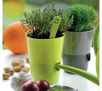 Plastia Hierbas Olla Bewässerungstopf 'Romero' con Embalses Ø 11cm en 4 Colores - Claro + Dunkel-Lavendel