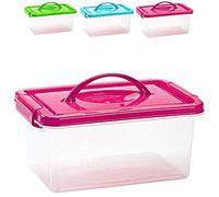 Plastic Forte - Caja de 4 litros con Tapa Color Surtido