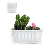PlasticForte Macetero rectangular de plástico con base de agua y base de agua (blanco, maceta rectangular ovalada de 25 cm)