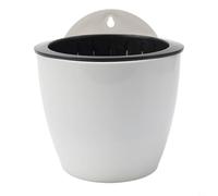 Plástico montable con contenedor interior extraíble para uso flexible con plantas vivas, botánicos secos o papelería (B180)