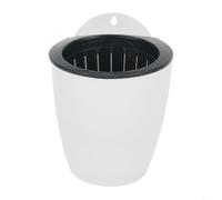 Plástico montable con contenedor interior extraíble para uso flexible con plantas vivas, botánicos secos o papelería (B130)