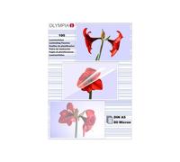 Plastificadores Olympia A5 80 micras Transparentes 100 piezas